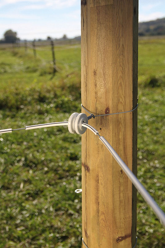 HAAS Wire Weidezaundraht Ø 8 mm